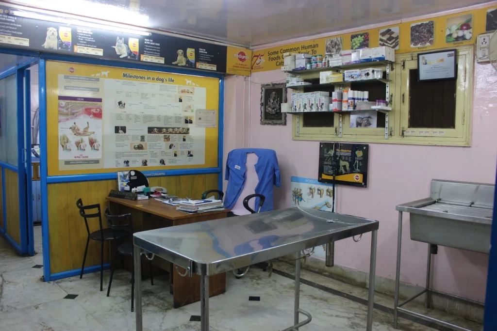 V-Care Pet PolyClinic, Koramangala Veterinary Clinic in Koramangala, Bengaluru — Facility Photo 8