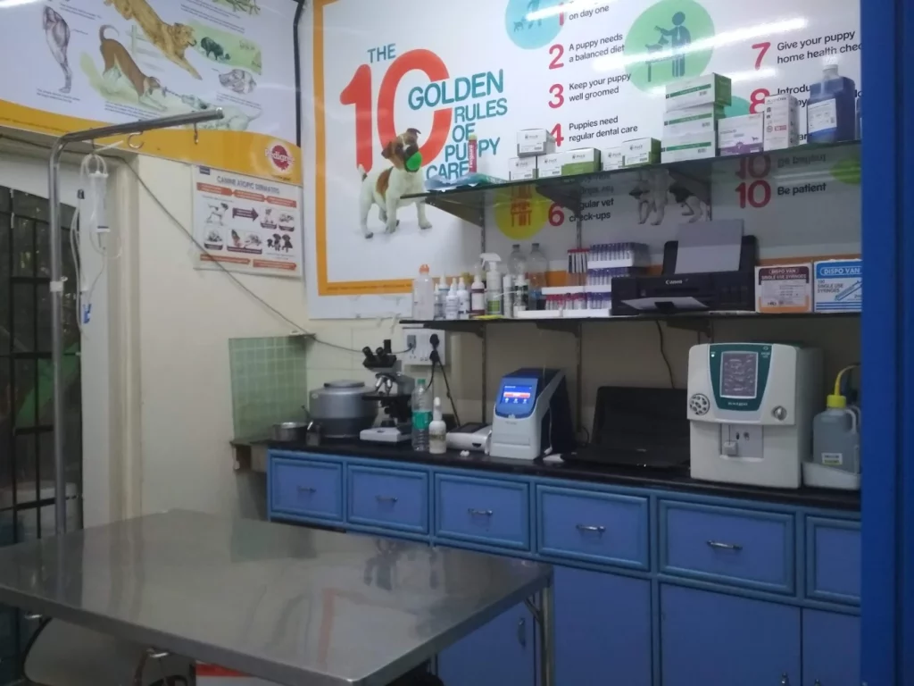 V-Care Pet PolyClinic, Koramangala Veterinary Clinic in Koramangala, Bengaluru — Facility Photo 5