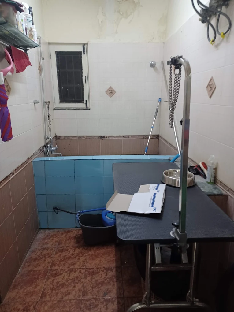 V-Care Pet PolyClinic, Koramangala Veterinary Clinic in Koramangala, Bengaluru — Facility Photo 4