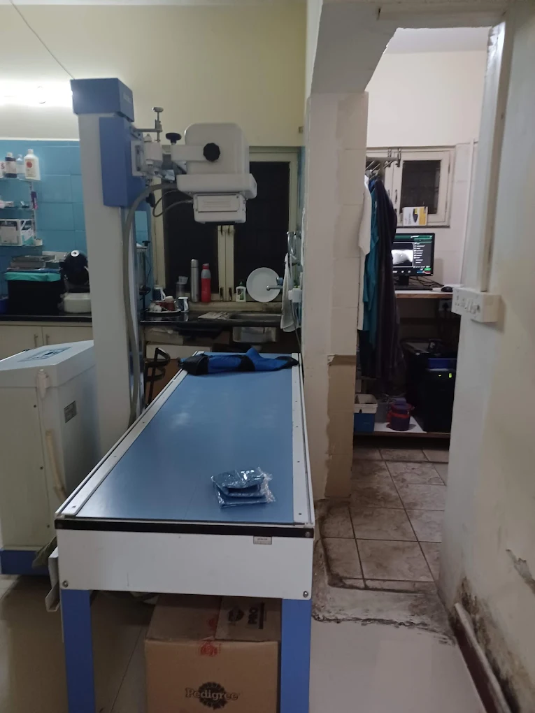 V-Care Pet PolyClinic, Koramangala Veterinary Clinic in Koramangala, Bengaluru — Facility Photo 3