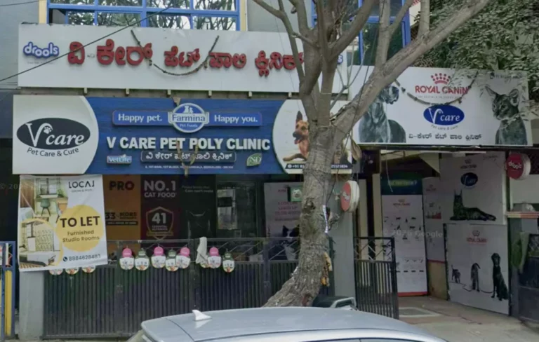 V-Care Pet PolyClinic, Koramangala - Pet Clinic in Koramangala, Bengaluru