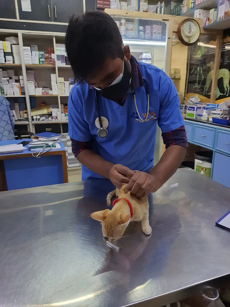 V-Care Pet Polyclinic, Kaikondrahalli Veterinary Clinic in Kaikondrahalli, Bengaluru — Facility Photo 7