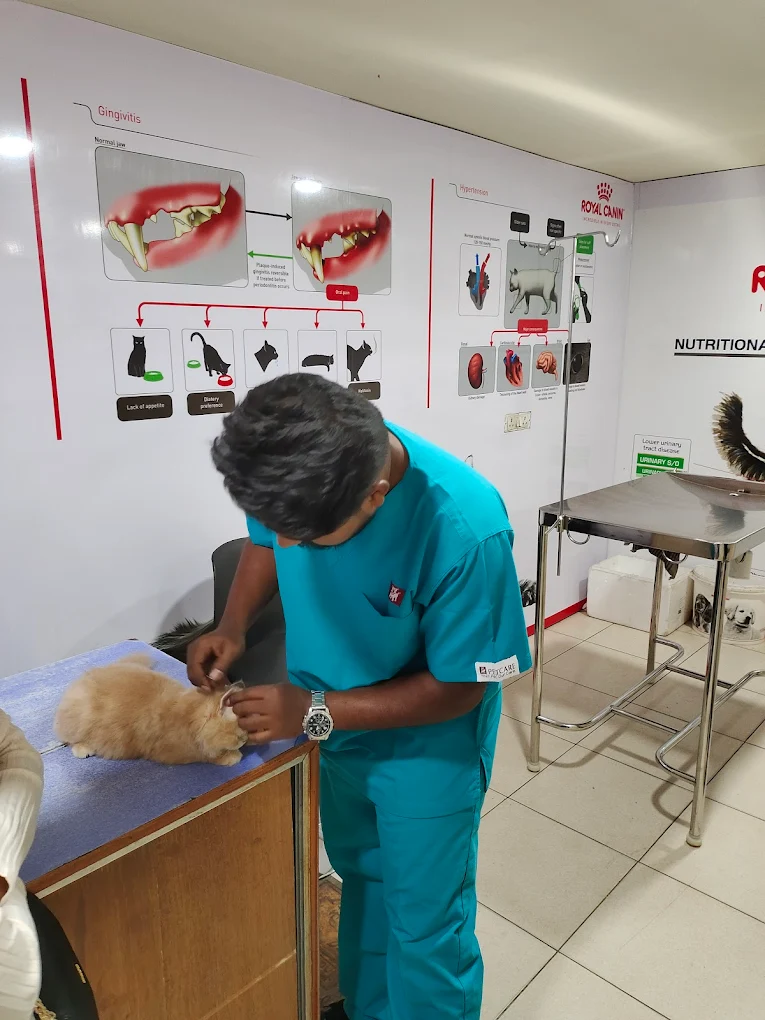 V-Care Pet Polyclinic, Kaikondrahalli Veterinary Clinic in Kaikondrahalli, Bengaluru — Facility Photo 4