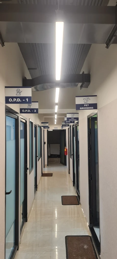 Vetic Pet Clinic Sadashiva Nagar Veterinary Clinic in Guttahalli, Bengaluru — Facility Photo 3