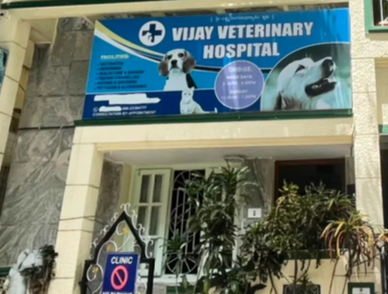Vijay Veterinary Clinic - Pet Clinic in Vijayanagar, Bengaluru