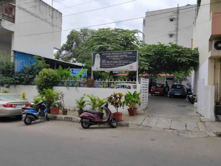 Westend Speciality Petcare and Nursing Center - Pet Clinic in Guttahalli, Bengaluru