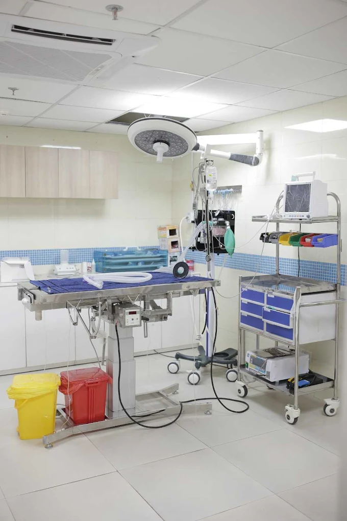 Zigly Pet Care – Vet Clinic, Pet Grooming & Pet Products | Koramangala Veterinary Clinic in Koramangala, Bengaluru — Facility Photo 10