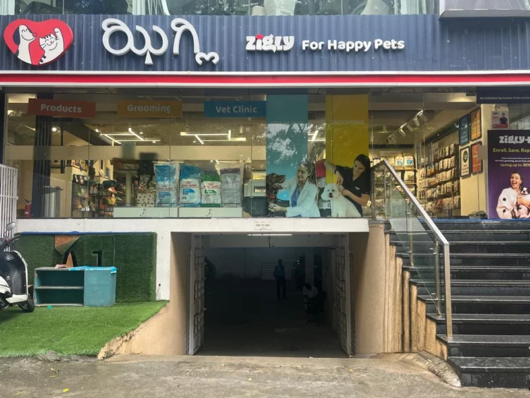 Zigly Pet Care - Vet Clinic, Pet Grooming & Pet Products | Koramangala - Pet Clinic in Koramangala, Bengaluru
