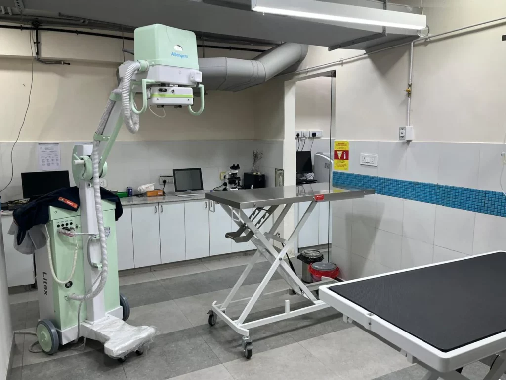 Zigly Pet Care – Vet Clinic, Pet Grooming & Pet Products | Koramangala Veterinary Clinic in Koramangala, Bengaluru — Facility Photo 4