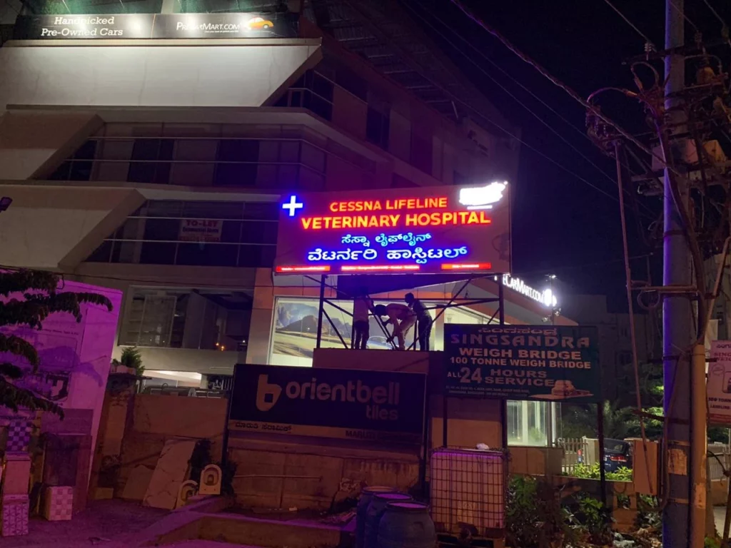 Cessna Lifeline Veterinary Hospital, Hosur Main Road Veterinary Clinic in Singasandra, Bengaluru — Entrance/Facility Photo