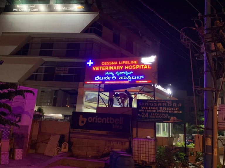 Cessna Lifeline Veterinary Hospital, Hosur Main Road - Pet Clinic in Singasandra, Bengaluru
