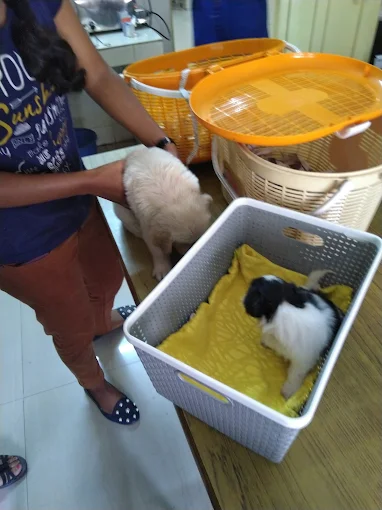 Government Veterinary Clinic, SG Palya Veterinary Clinic in SG Palya, Bengaluru — Facility Photo 2
