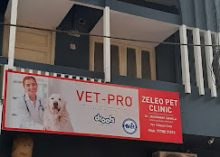 Zeleo Pet Clinic - Pet Clinic in Begumpet, Hyderabad