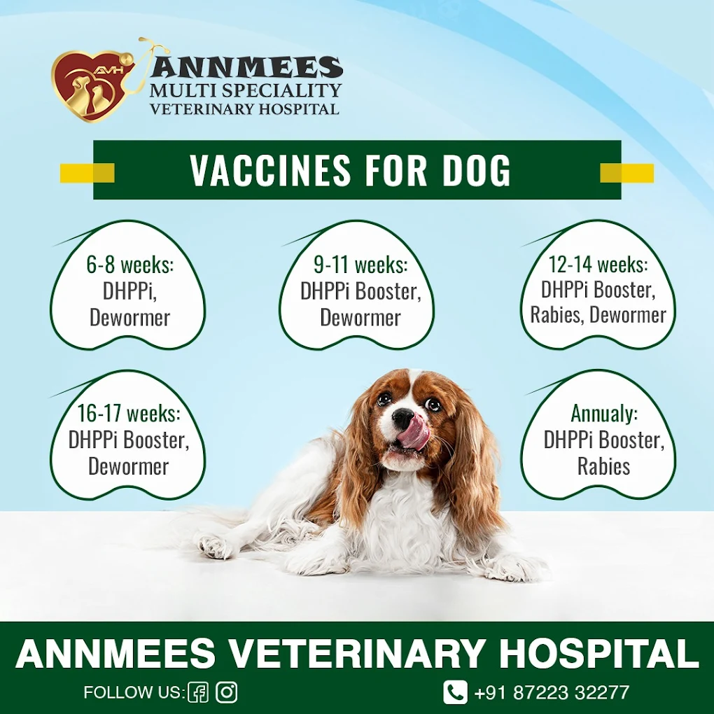 Annmees Veterinary Hospital Veterinary Clinic in Naagarabhaavi, Bengaluru — Facility Photo 2