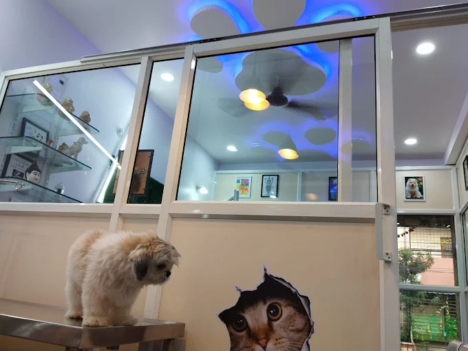 Niha’s Pet Care Clinic Veterinary Clinic in Manikonda, Hyderabad — Facility Photo 5