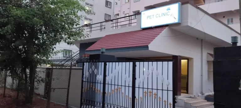 VetView Pet Clinic, Kompally - Pet Clinic in Kompally, Hyderabad