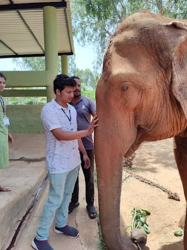 Omega’s Vet Hospital Veterinary Clinic in Toli Chowki, Hyderabad — Facility Photo 3