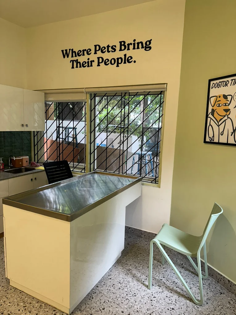 Dr. Paws Vet Clinic, Indiranagar – 24×7 Veterinary Clinic in Indiranagar, Bengaluru — Entrance/Facility Photo