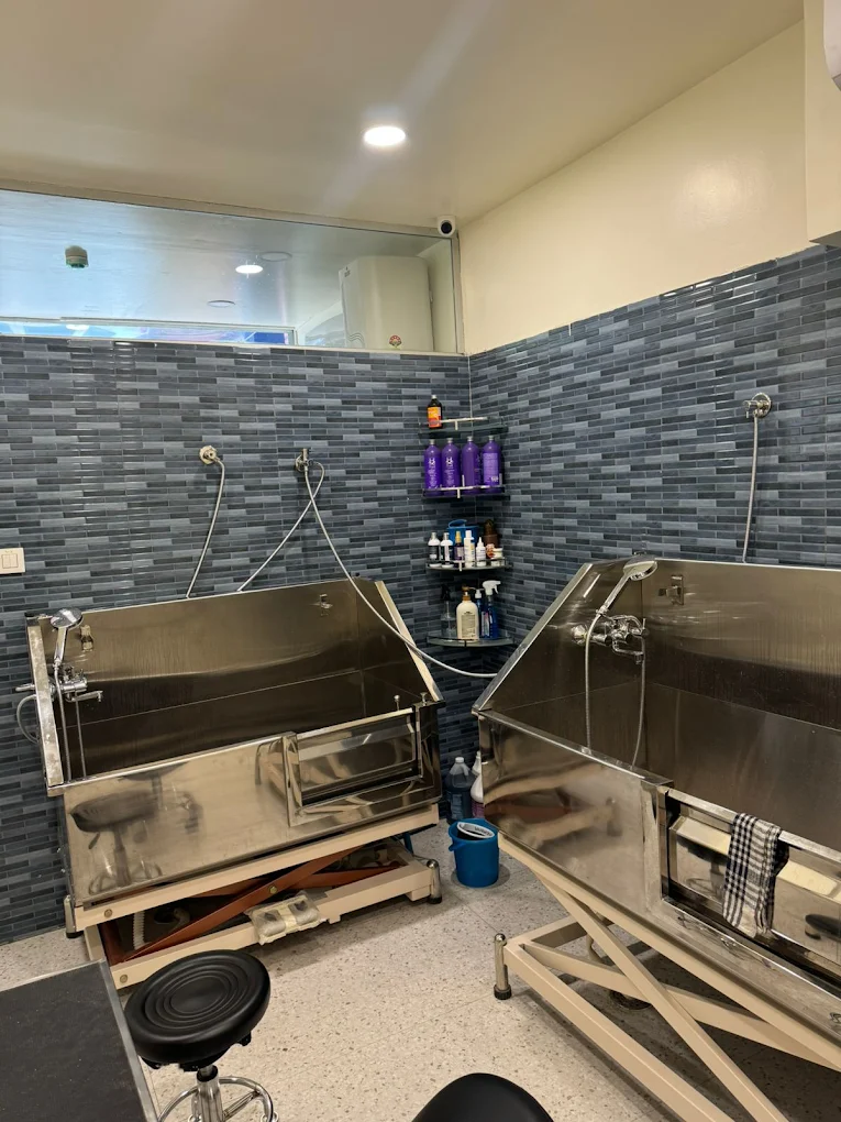 Dr. Paws Vet Clinic, Indiranagar – 24×7 Veterinary Clinic in Indiranagar, Bengaluru — Facility Photo 2