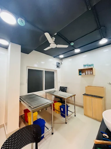 Vetic Pet Clinic HITEC City Veterinary Clinic in Madhapur, Hyderabad — Facility Photo 3
