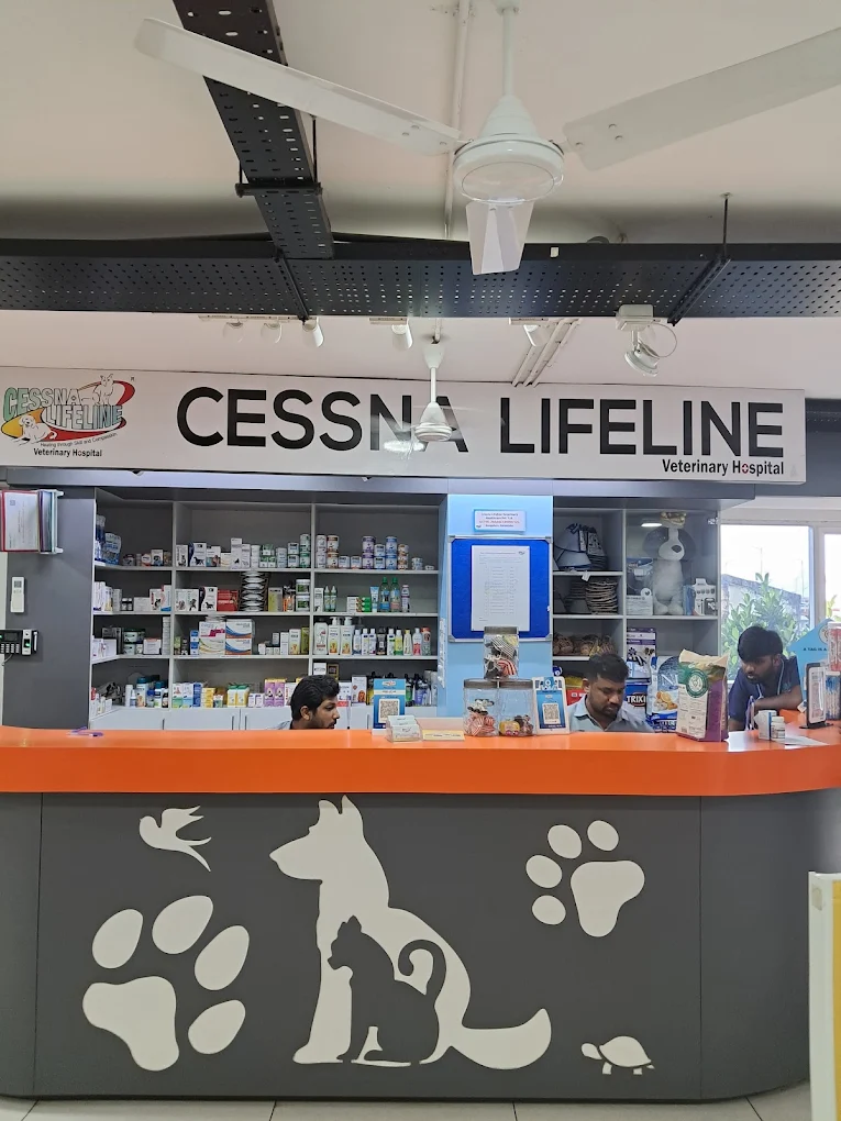 Cessna Lifeline Veterinary Hospital, Hosur Main Road Veterinary Clinic in Singasandra, Bengaluru — Facility Photo 3