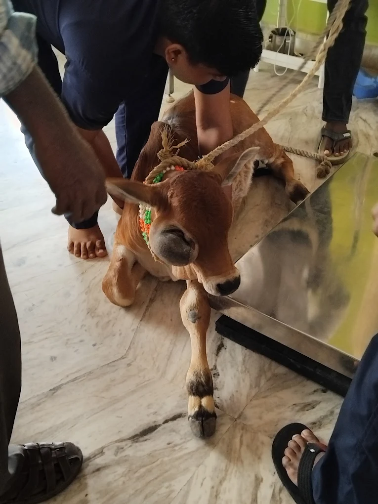 VetView Pet Clinic, Kompally Veterinary Clinic in Kompally, Hyderabad — Facility Photo 5