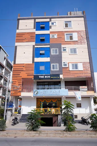 West Paws Pet Clinic (Dr.K.Rajavardan) - Pet Clinic in Manikonda, Hyderabad