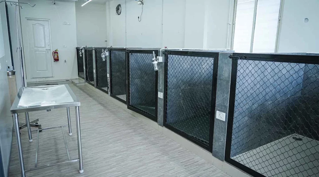 Vetic Pet Clinic, Domlur Veterinary Clinic in Domlur, Bengaluru — Facility Photo 5