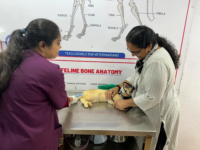 Anvi’s Pet Clinic Veterinary Clinic in Alwal, Hyderabad — Facility Photo 6