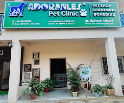 Adorables Pet Clinic - Pet Clinic in Banjara Hills, Hyderabad