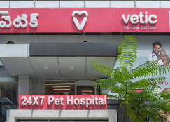 Vetic Pet Clinic HITEC City - Pet Clinic in Madhapur, Hyderabad