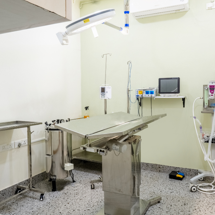 Dr. Paws Vet Clinic, Indiranagar – 24×7 Veterinary Clinic in Indiranagar, Bengaluru — Facility Photo 3