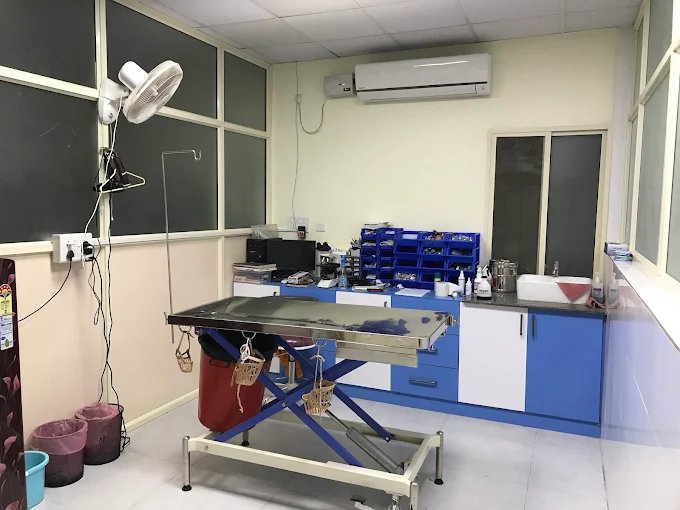 Bangalore Pet Hospital Veterinary Clinic in Whitefield, Bengaluru — Facility Photo 4