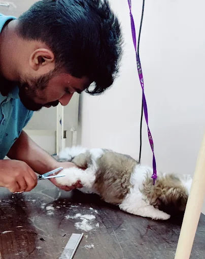 Paws And Claws Pet Clinic and Shoppe, Abbigere Veterinary Clinic in Abbigere, Bengaluru — Facility Photo 2