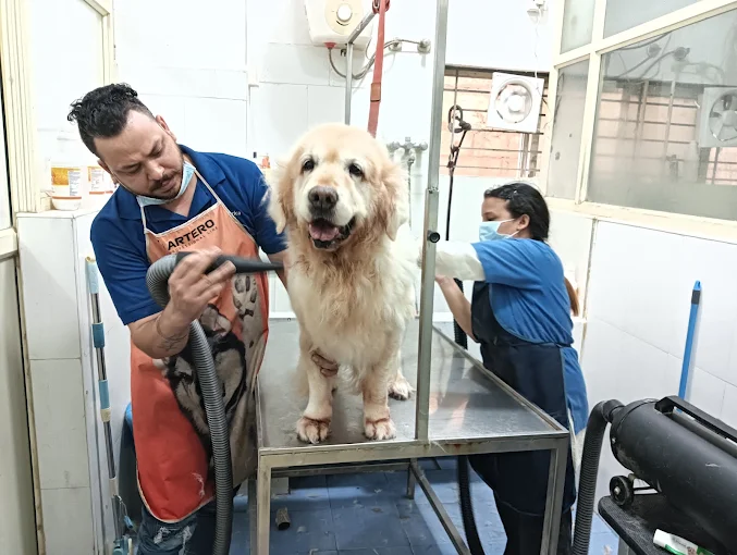 Bangalore Pet Hospital Veterinary Clinic in Whitefield, Bengaluru — Facility Photo 6