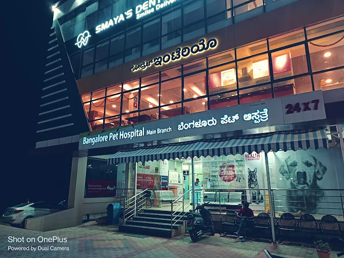 Bangalore Pet Hospital Veterinary Clinic in Whitefield, Bengaluru — Facility Photo 8