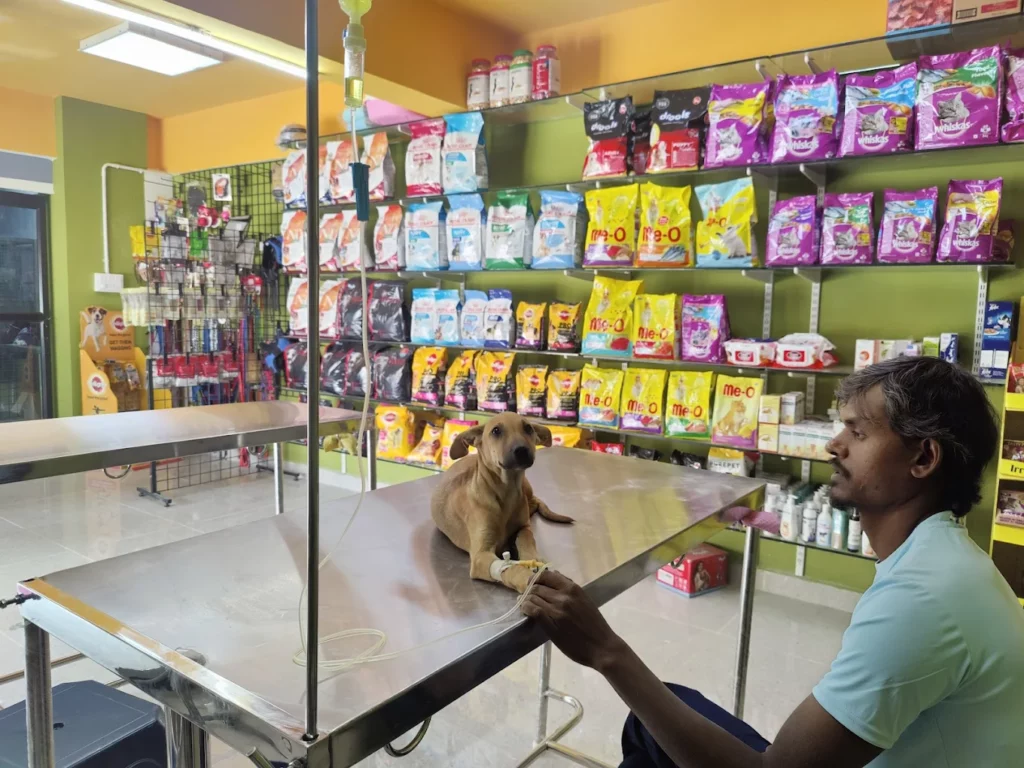 Anicure Pet Hospital Veterinary Clinic in Bellandur, Bengaluru — Facility Photo 5