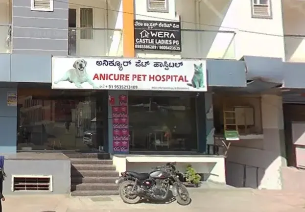 Anicure Pet Hospital - Pet Clinic in Bellandur, Bengaluru