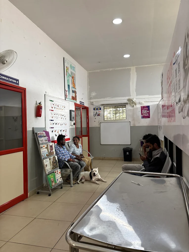 Advitha Pet Hospital – Chandapura Veterinary Clinic in Bommasandra Village, Bengaluru — Facility Photo 7