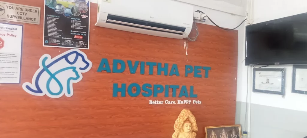 Advitha Pet Hospital – Chandapura Veterinary Clinic in Bommasandra Village, Bengaluru — Facility Photo 4