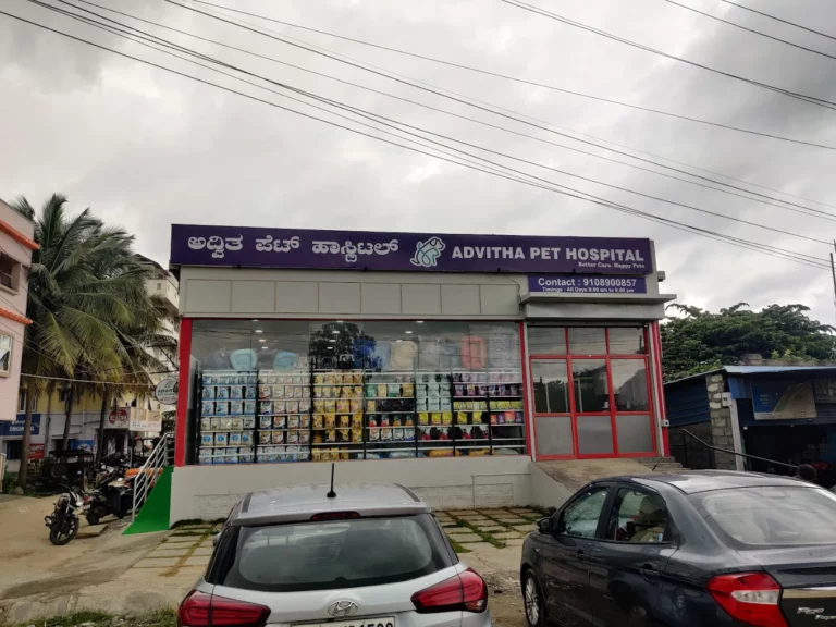 Advitha Pet Hospital - Chandapura - Pet Clinic in Bommasandra Village, Bengaluru