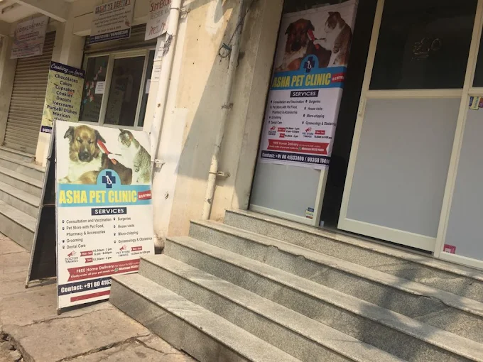 Asha Pet Clinic Veterinary Clinic in Kaggadasapura, Bengaluru — Facility Photo 5