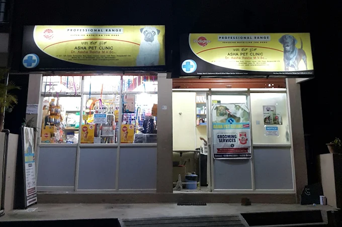 Asha Pet Clinic Veterinary Clinic in Kaggadasapura, Bengaluru — Facility Photo 8