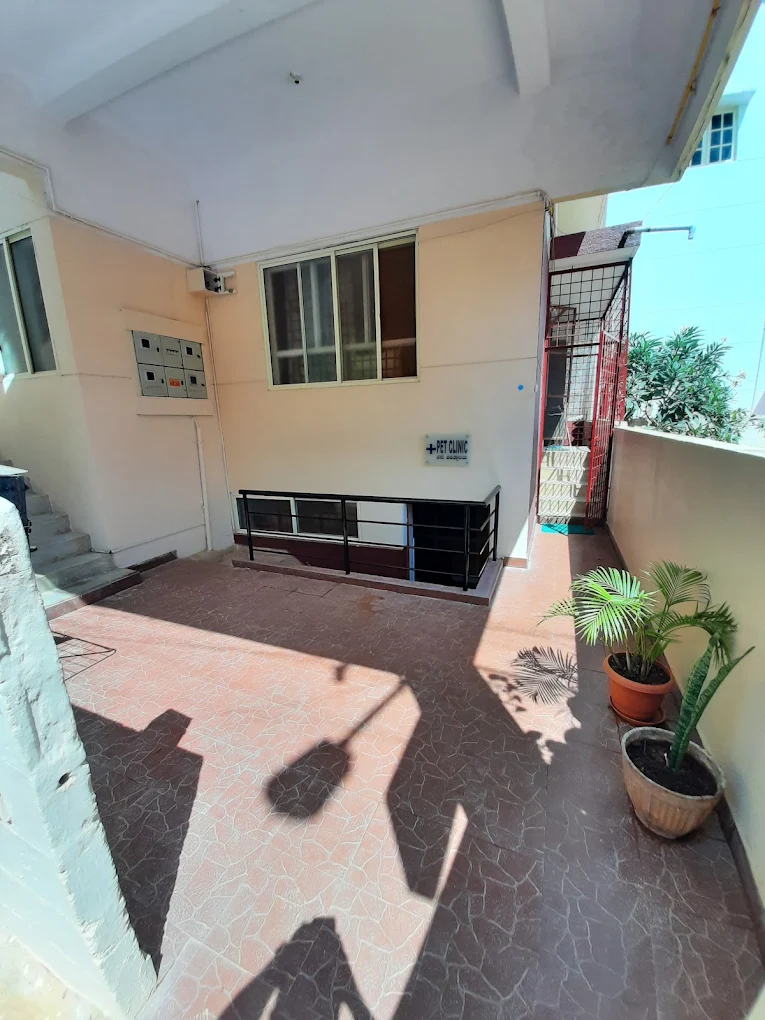 Bangalore Pet Clinic P&T Layout Veterinary Clinic in P&T Layout, Bengaluru — Facility Photo 3