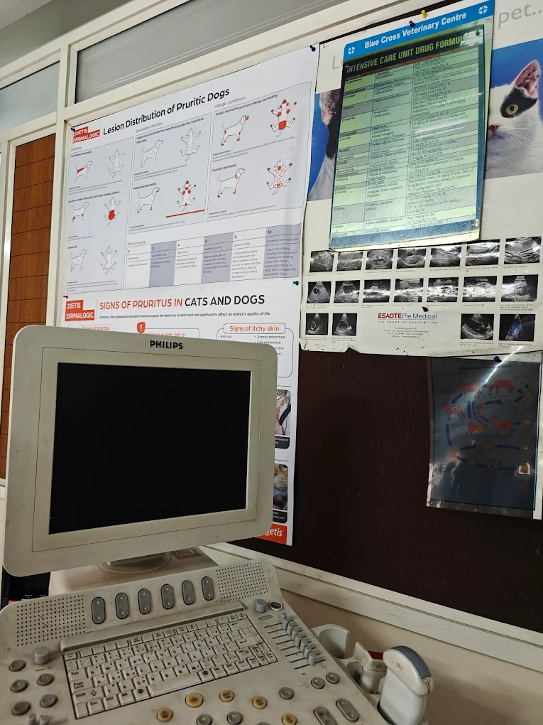 Bluecross Veterinary Centre Veterinary Clinic in Jayanagar, Bengaluru — Facility Photo 7