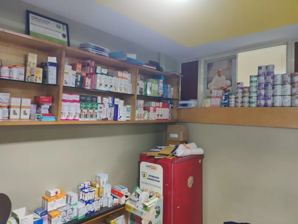 Bluecross Veterinary Centre Veterinary Clinic in Jayanagar, Bengaluru — Facility Photo 5