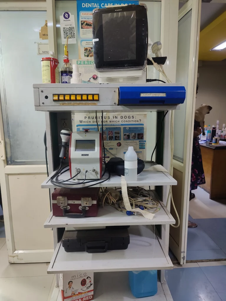 Bluecross Veterinary Centre Veterinary Clinic in Jayanagar, Bengaluru — Facility Photo 4