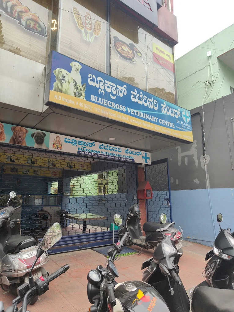 Bluecross Veterinary Centre - Pet Clinic in Jayanagar, Bengaluru
