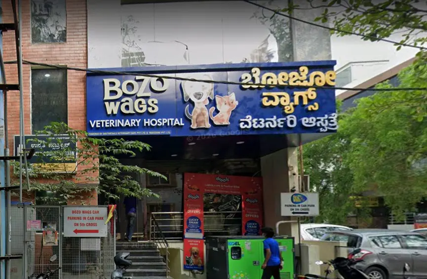 Bozo Wags Veterinary Hospital & Pet Services Veterinary Clinic in Akshayanagar, Bengaluru — Entrance/Facility Photo