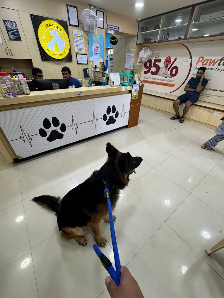 CHARLIE’S PET CARE CENTRE Veterinary Clinic in Banaswadi, Bengaluru — Facility Photo 2